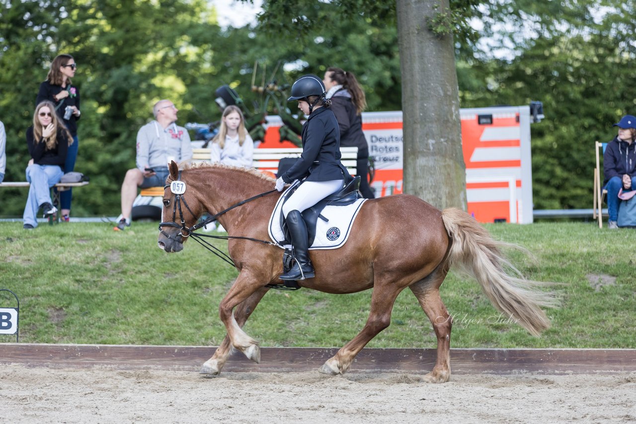 Bild 85 - Pony Akademie Turnier